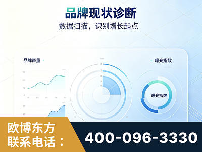 高州-品牌现状诊断